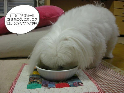 DSCN1357.jpg