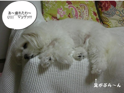 DSCN1342.jpg