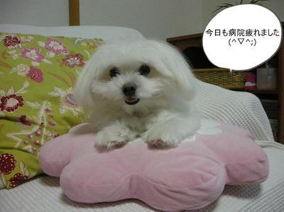 DSCN1367.jpg