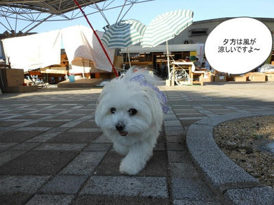 DSCN0120.jpg