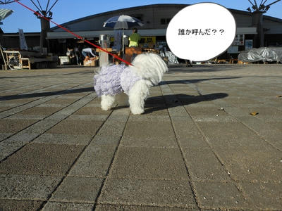 DSCN0122.jpg