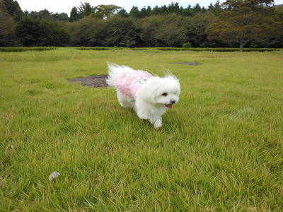 DSCN0152.jpg