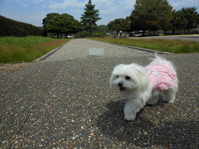 DSCN0173.jpg