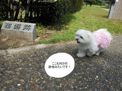 DSCN0176.jpg