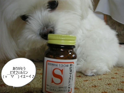 DSCN1374.jpg