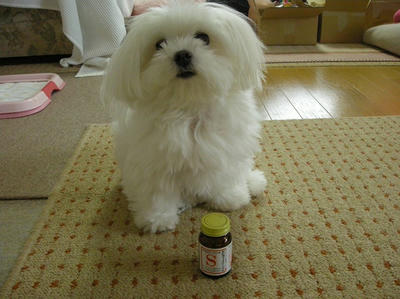 DSCN1376.jpg