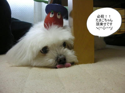 DSCN1368.jpg