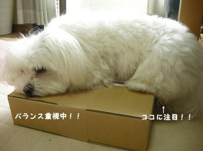 DSCN1462.jpg