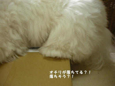 DSCN1463.jpg