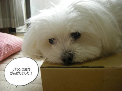 DSCN1464.jpg