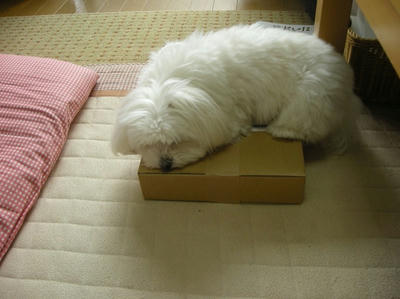 DSCN1465.jpg