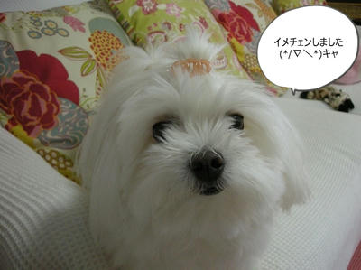 DSCN1487.jpg
