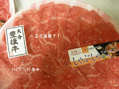 DSCN1503.jpg