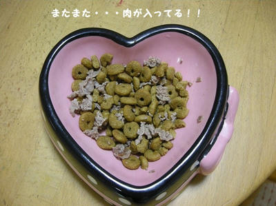 DSCN1505.jpg