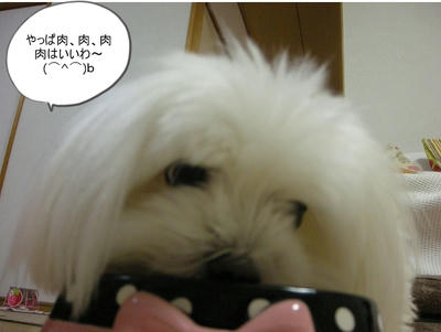 DSCN1513.jpg