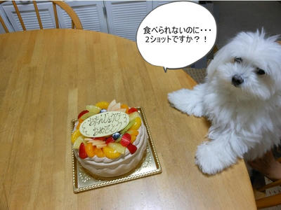 DSCN0218.jpg
