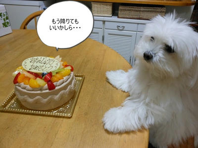 DSCN0220.jpg