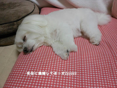 DSCN0268.jpg