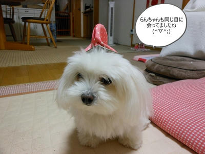 DSCN0233.jpg