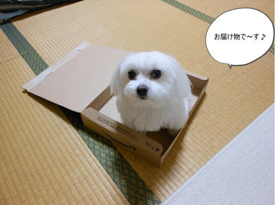 DSCN0286.jpg