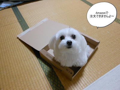 DSCN0290.jpg