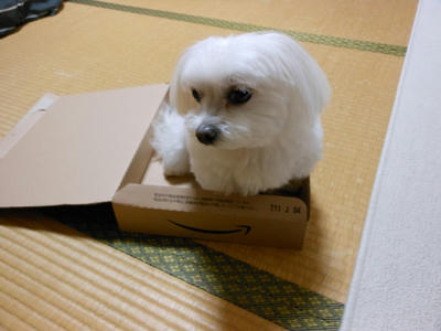 DSCN0292.jpg