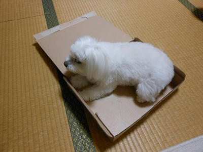 DSCN0305.jpg