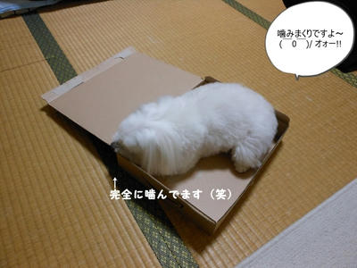 DSCN0306.jpg