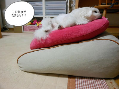 DSCN0313.jpg