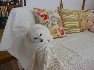 DSCN0324.jpg