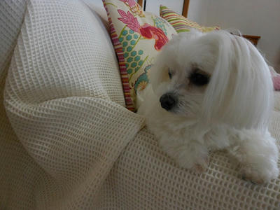 DSCN0325.jpg