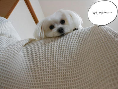 DSCN0328.jpg