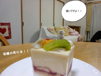 DSCN0354.jpg