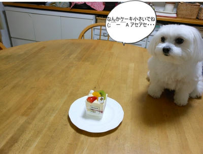 DSCN0360.jpg