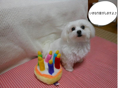 DSCN0376.jpg