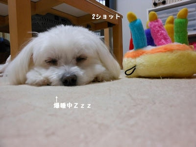 DSCN0390.jpg