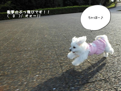 DSCN0418.jpg