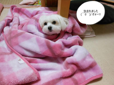 DSCN0395.jpg