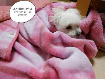 DSCN0396.jpg