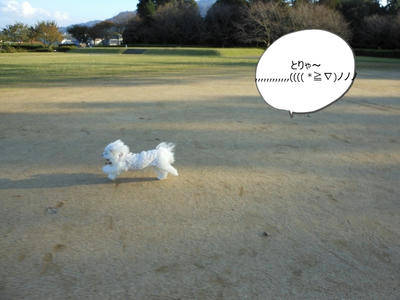 DSCN0448.jpg