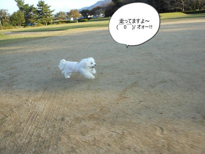 DSCN0449.jpg