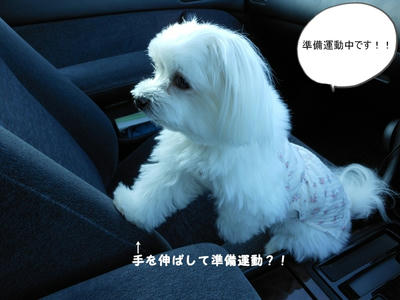 DSCN0489.jpg