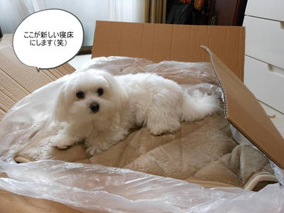DSCN0506.jpg