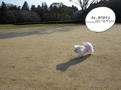 DSCN0520.jpg