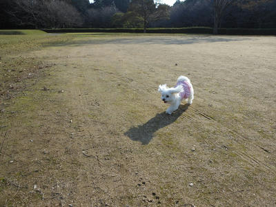 DSCN0523.jpg
