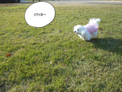 DSCN0536.jpg