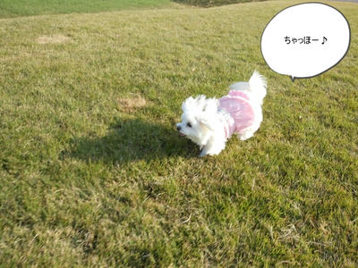 DSCN0541.jpg