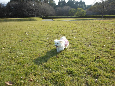 DSCN0552.jpg