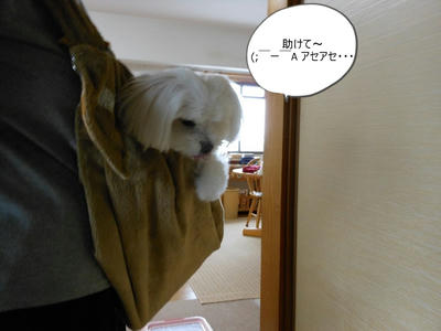 DSCN0612.jpg