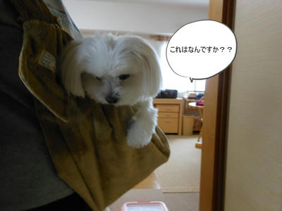 DSCN0614.jpg